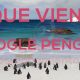 google-penguin-penalizacion