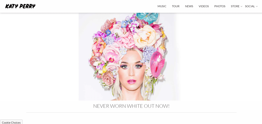 sitios web wordpress katy perry