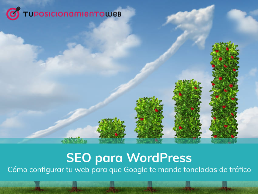 seo wordpress