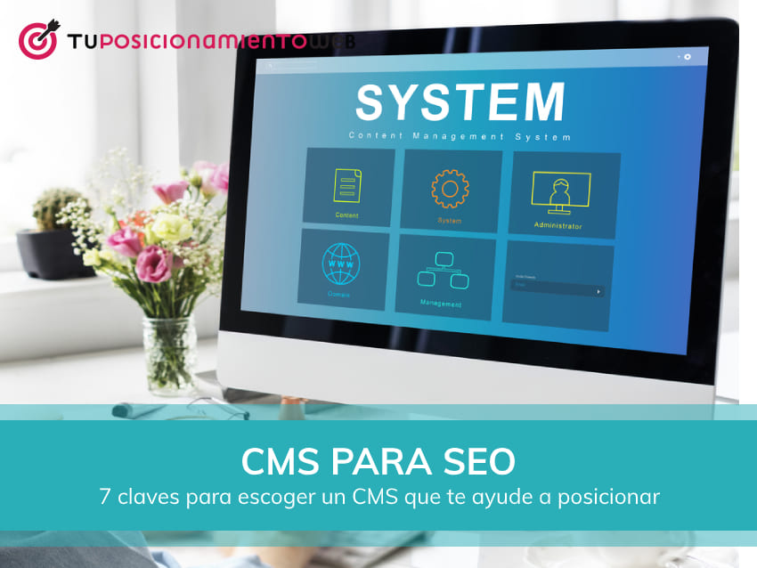 cms seo