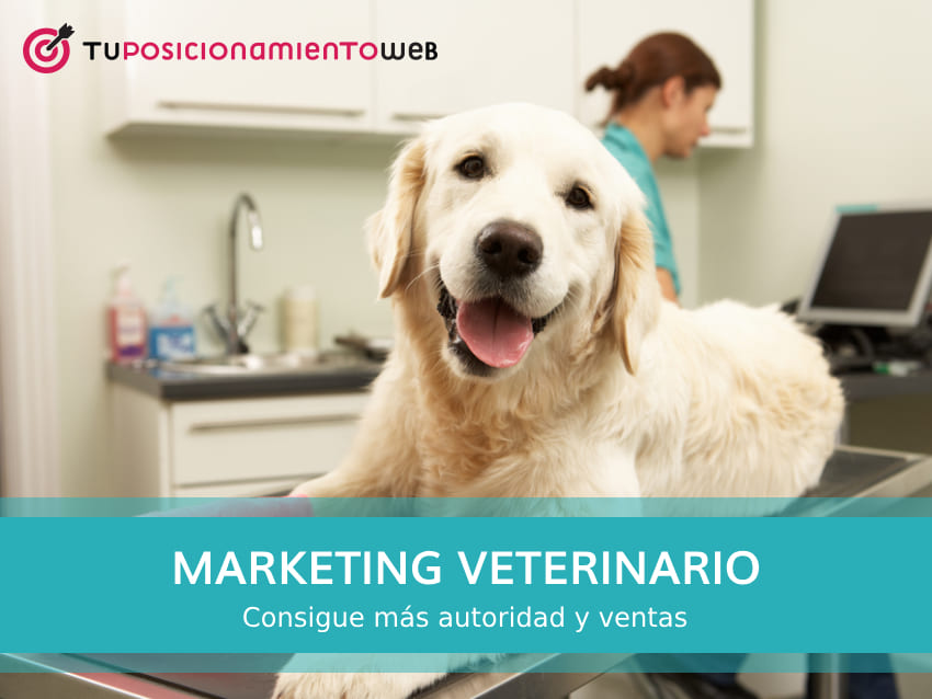 marketing digital veterinario
