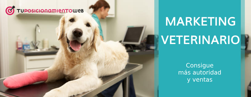 marketing veterinario